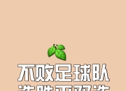 爱游戏体育官方入口-包含昔日冠军前景未卜，球队备战苦练在所不惜的词条