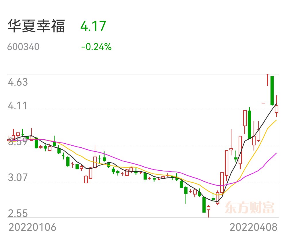 关于河北华夏幸福主场不敌对手，需反思战术安排的信息