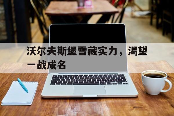 沃尔夫斯堡雪藏实力，渴望一战成名的简单介绍